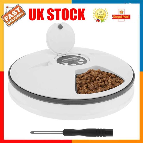Automatic cat feeder - cat, wet