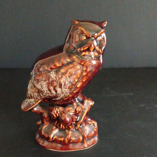 Cute owl kernewek pottery - owl,