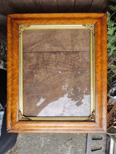 Bird eye maple - bird's,