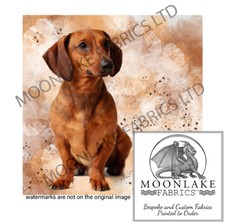 Dachshund brown painted 100 - painted, 100%