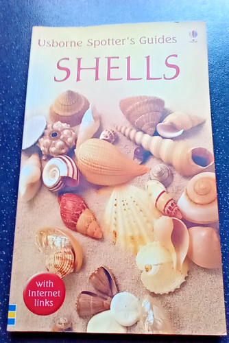 Shells usborne spotters - shells,