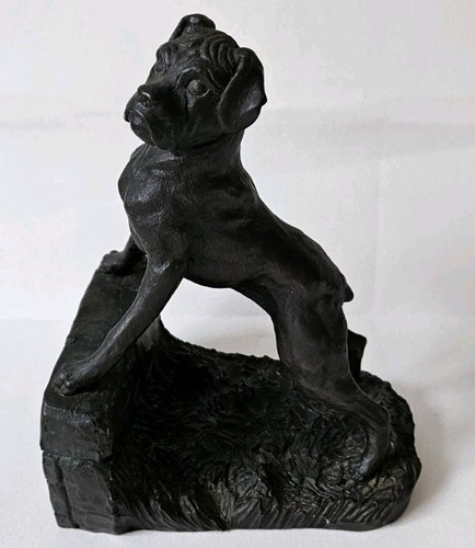 Heredities spouse boxer dog - boxer,