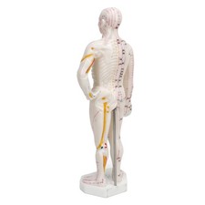 —AHuman Body Acupuncture