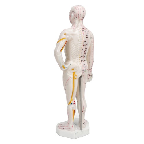 Ahuman body acupuncture - —ahuman,