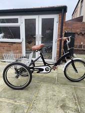 Adult Tricycle 20-inch Single-Speed 3-Wheel hardly used 