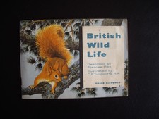 British wild life brooke - wild,
