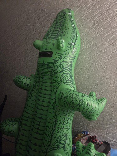 1999 Intex Wet Set Inflatable