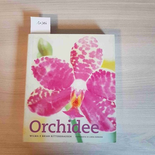 Orchids rittershausen botany - orchids,