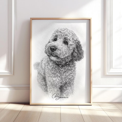 Personalised pet sketch from - personalised,