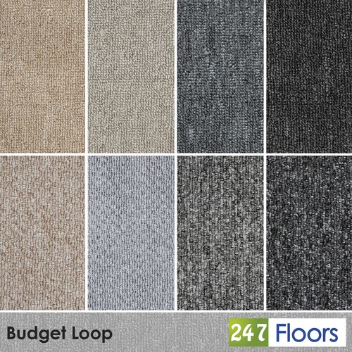 Loop carpet only 99 free - loop,