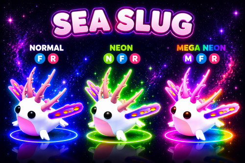 Sea slug seller adopt - seller,