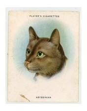 Player cigarettes cats - player’s,
