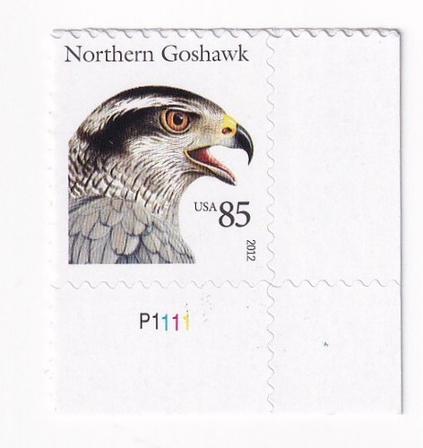 Stamp scott 4608 birds - stamp, of