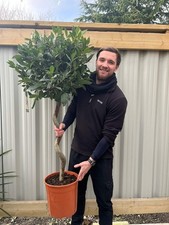 4ft / 5ft Spiral Stem Standard