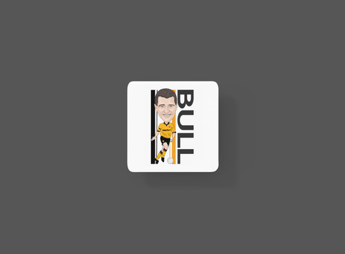 Steve bull wolverhampton - bull,