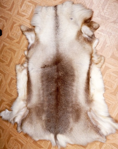 Beautiful reindeer fur - beautiful,