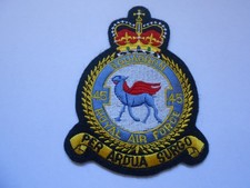 45   RAF  SQUADRON    crest