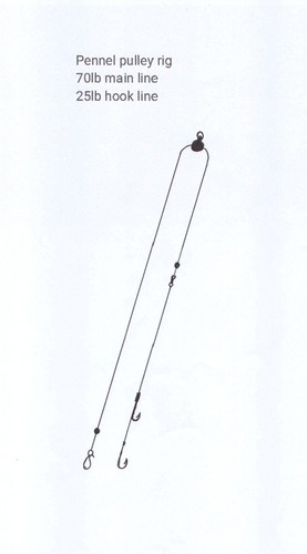 Sea fishing pennel pulley - fishing,