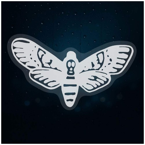 Death head moth static - 'death,