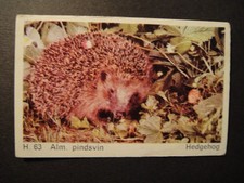 DANDY GUM WILD ANIMALS DANISH