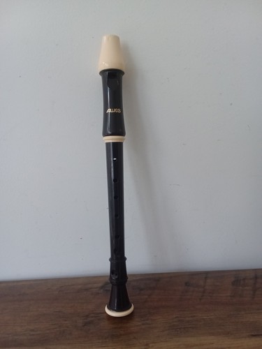 Vintage aulos recrder musical - vintage,
