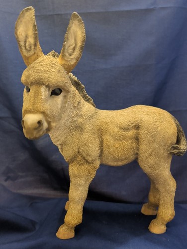 Huge country artists donkey - country,