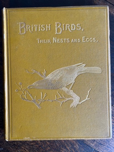 British birds with - british,