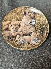 African Lioness And Cubs