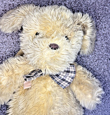 Childrens Teddy Bear Backpack