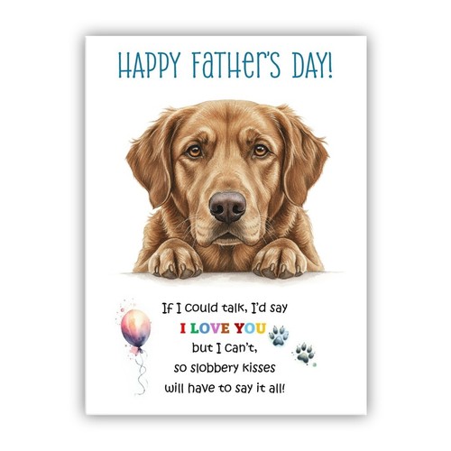 Chesapeake bay retriever - chesapeake,