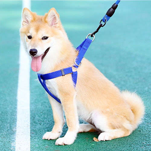 Dog harness pet halter - pet,