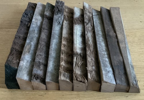Walnut hardwood timber live - walnut,