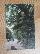 Postcard of High Park, Station