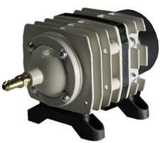 Charles Austen Hailea Piston