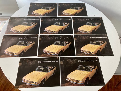 Lot jensen interceptor - 10,