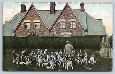 Exford Minehead fox hunt Hounds  somerset Printed Postcard so 7