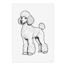 'Standard Poodle' Wall Art