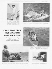 FISHING Tunny Season off the