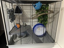Rat Cage - Small Animal Cage (Rat or Similar)