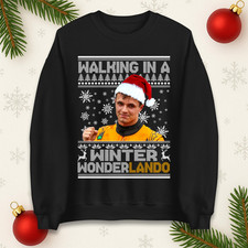 Lando Walking In A Winter