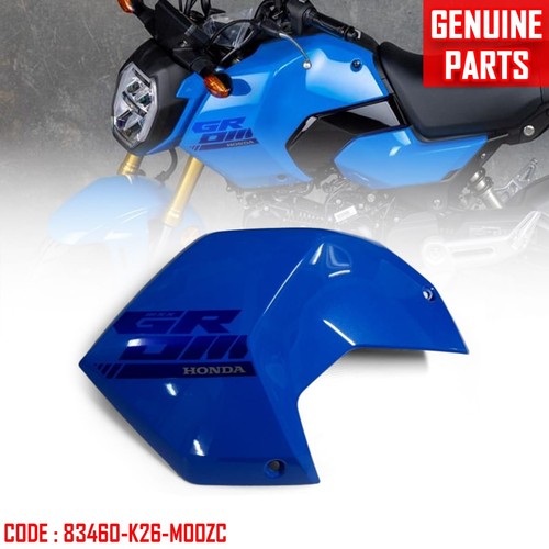 Genuine front side shroud - front,
