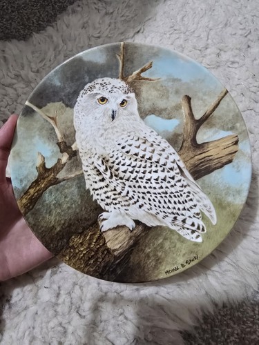 Coalport snowy owl plate - "snowy,