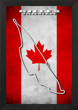 Gilles Villeneuve Framed Wall