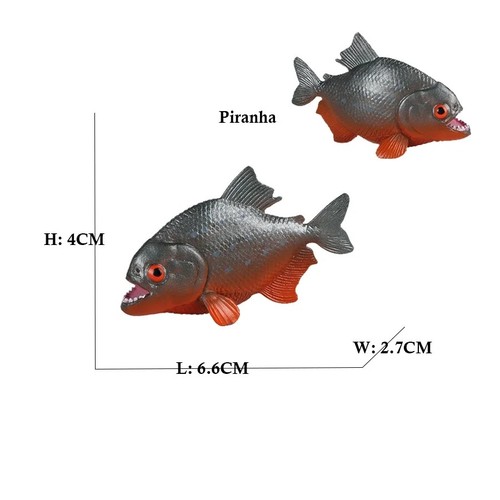 Piranha fish marine animal - fish,