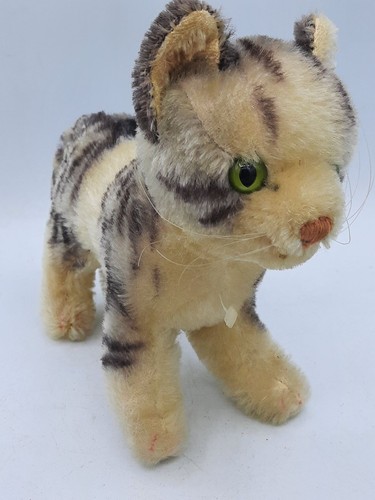 Vintage tabby kitty cat - tabby,