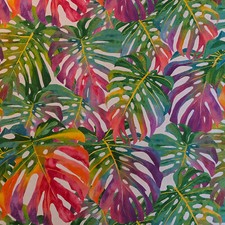Tropical leaves multi - tropical,