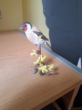 Country Artists Goldfinch on Winter Jasmine 06076 No Damage