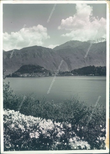 L654 photographic draft - photographic,