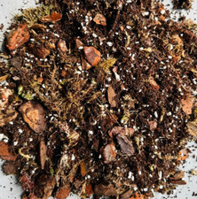 ORCHID SUBSTRATE MIX | Orchid