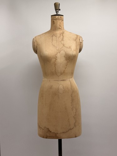 Bauman female - bauman,